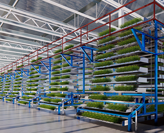 循環(huán)式智能育苗設備